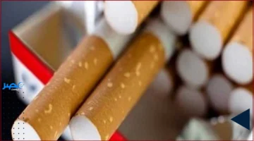 أسعار اليوم.. الكشف عن قائمة أسعار السجائر الجديدة في مصر للمستهلك